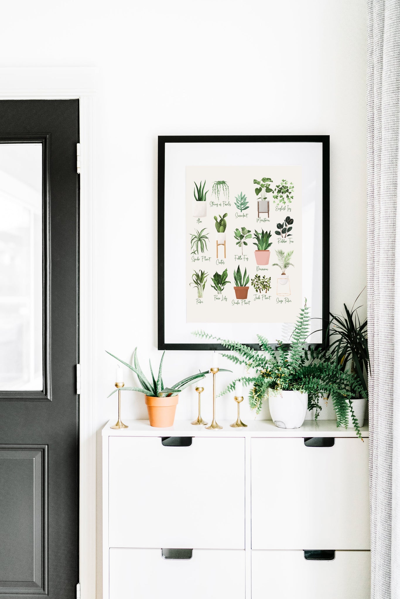 Plant Names Wall Decor Print - Send Me a Dream