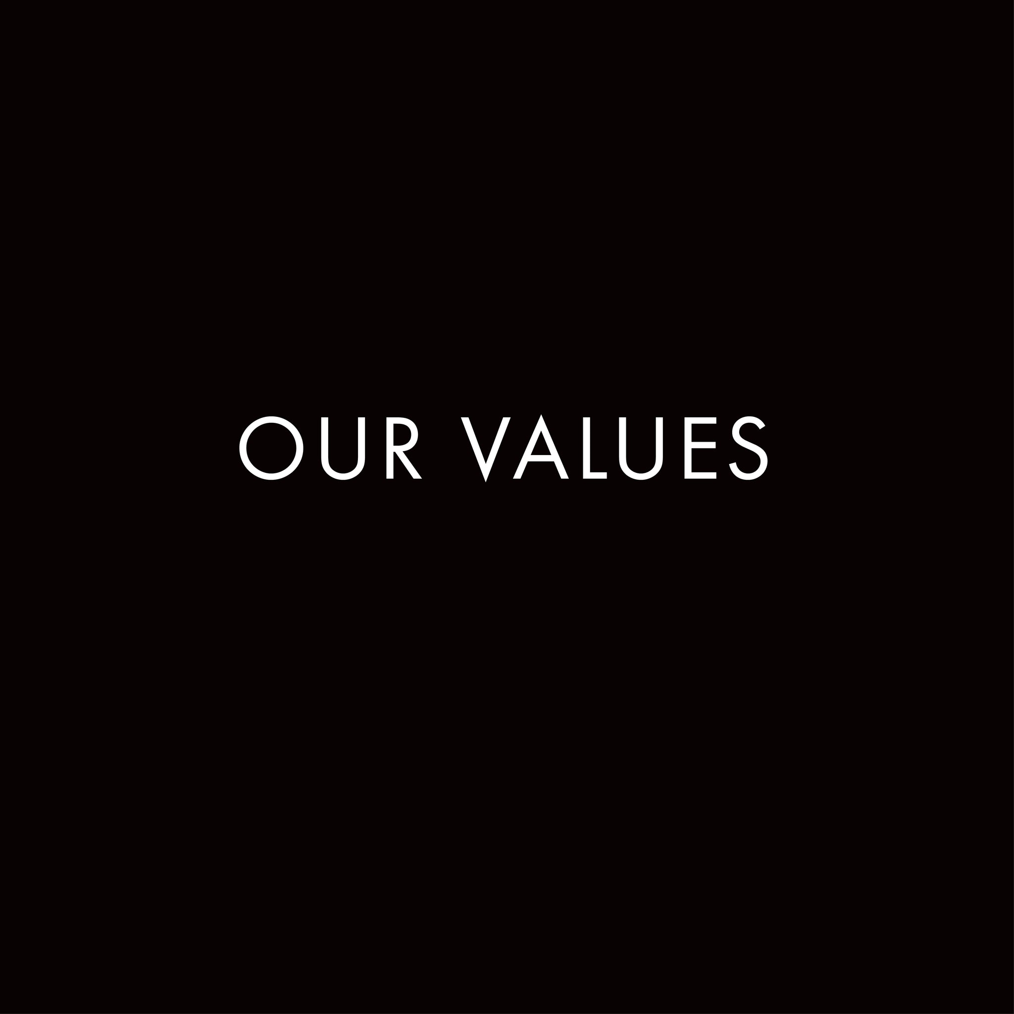 an image reading Our Values, demonstrating our company values